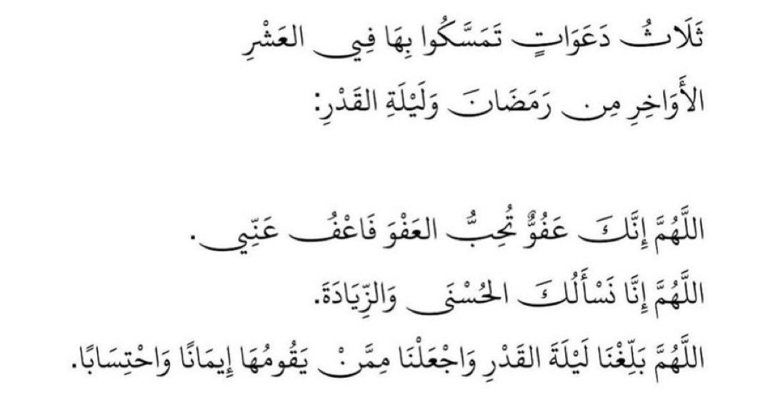 Lamya Al naser tweet media