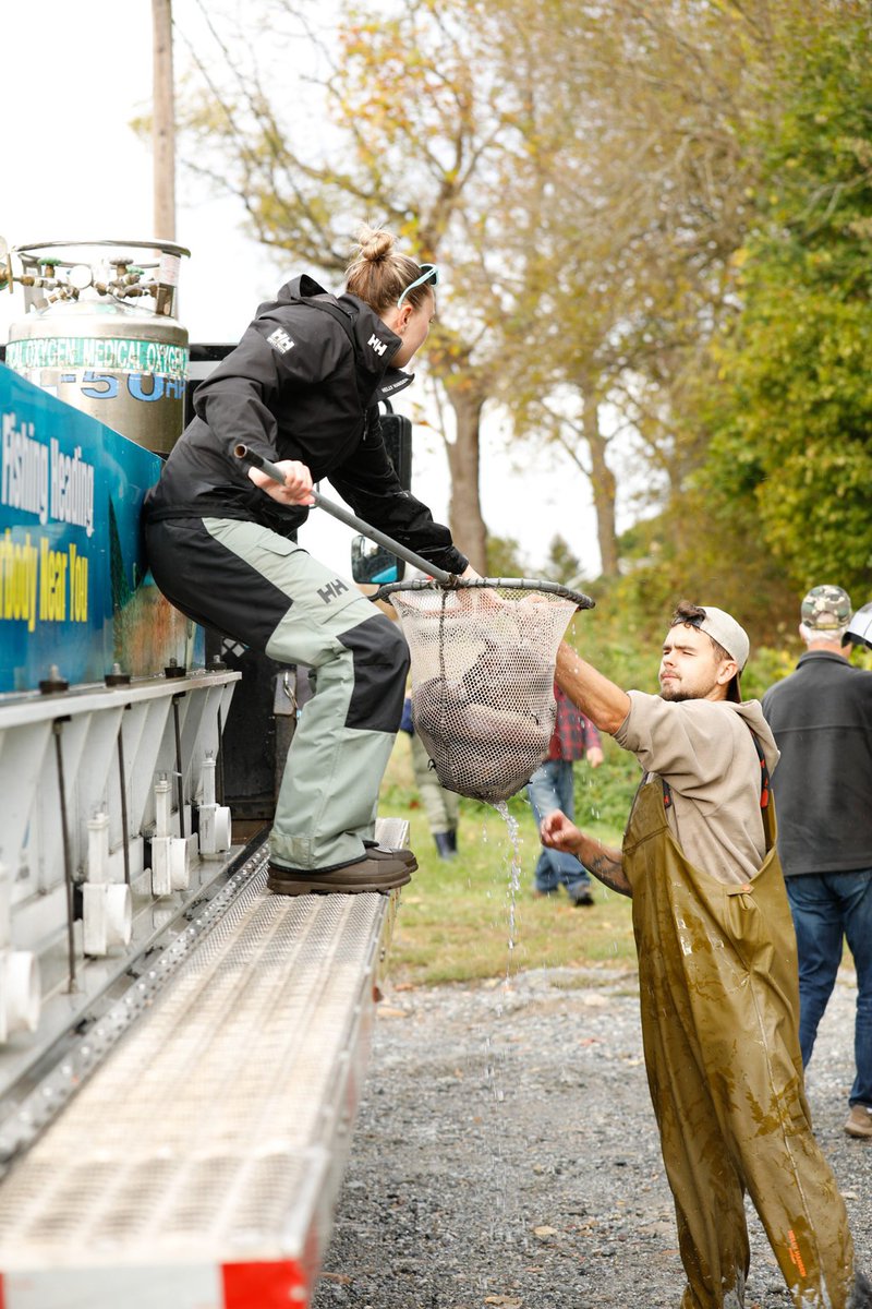Most of the New Jersey's trout stocking revolves around the rainbow trout, which isn't native to New Jersey waters.

Read the full article: The History of New Jersey’s Trout Fishery
▸ onthewater.com/the-history-of…

#Trout #NewJersey #OnTheWaterMagazine