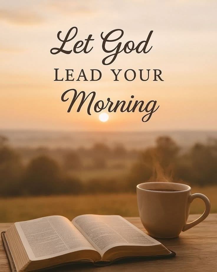 Mphoroza tweet media