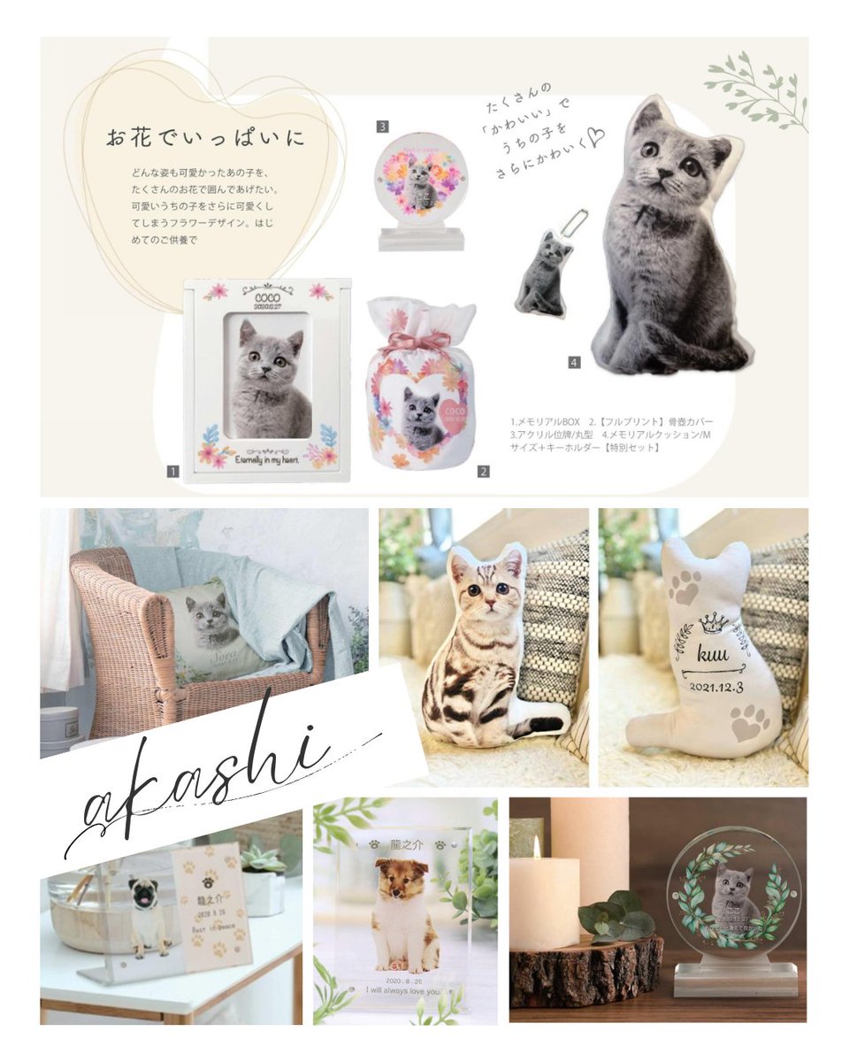 TOKYOCANDLEprod's tweet photo. みなさま～ おはろーそく🕯

　毎月12日は【わんにゃんの日】🐕🐈

東京ローソクでは、ペット様向けご葬儀品・オーダーメイドクッションなどもお取り扱いがございます✨
家族の絆を、これからも。お気軽にご相談ください。

#企業公式が朝の挨拶を言い合う https://t.co/7WWrXybqJE
