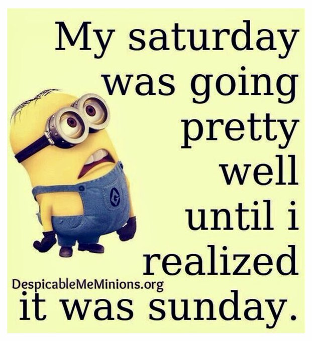 J🍩ey Bag 🍩f D🍩nuts 🍩 (@joeybagovdonuts) on Twitter photo 