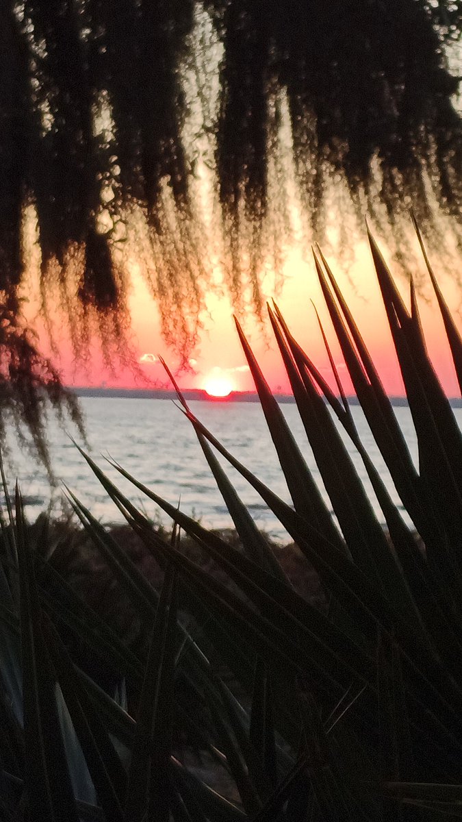 FLman1111's tweet image. Another day is done.... 
Where did today go? 

I've been creating some awesome merch 🦩🌴🐊 exclusively for XRPL Vegas!! Can't wait for you all to get your hands on it!

$FML #familyiseverything #fml 
@XRPTTM168004 @TJ_theYCT @FMLkendal