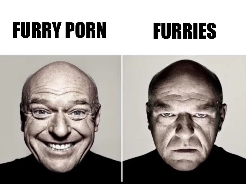 Shitpost Media tweet media