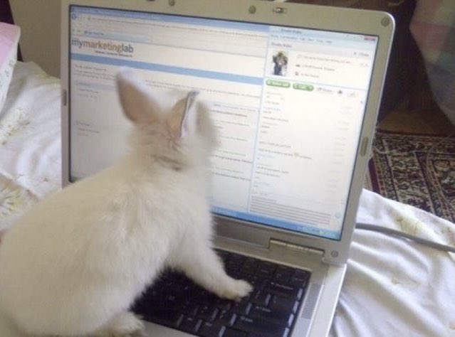 ᨳິ ݂ ֯ ˖ tweet media