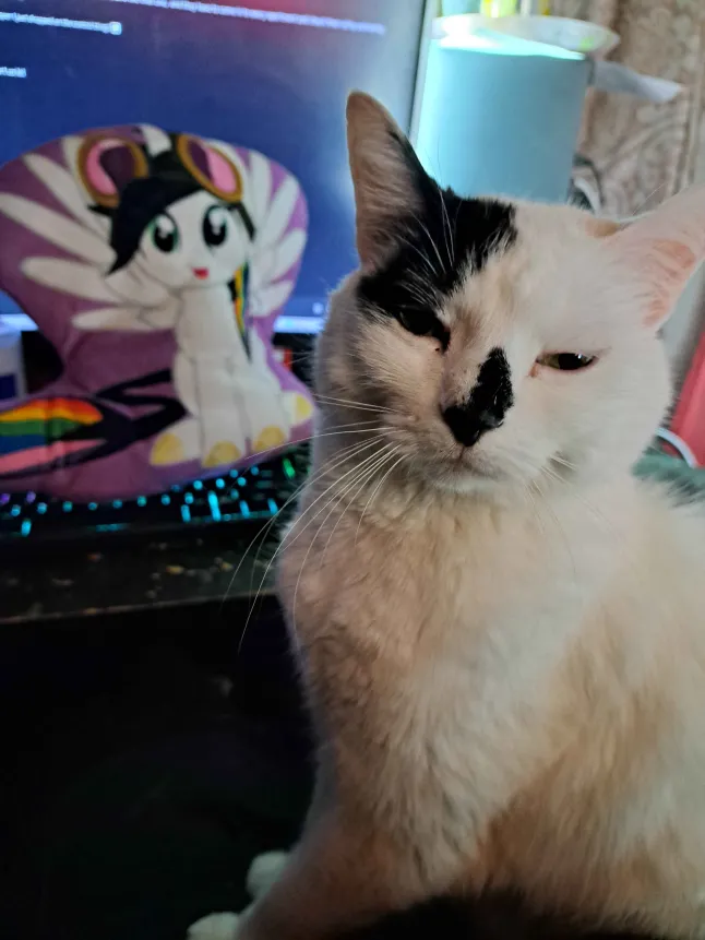 @Banana_Pony 🍌 tweet media