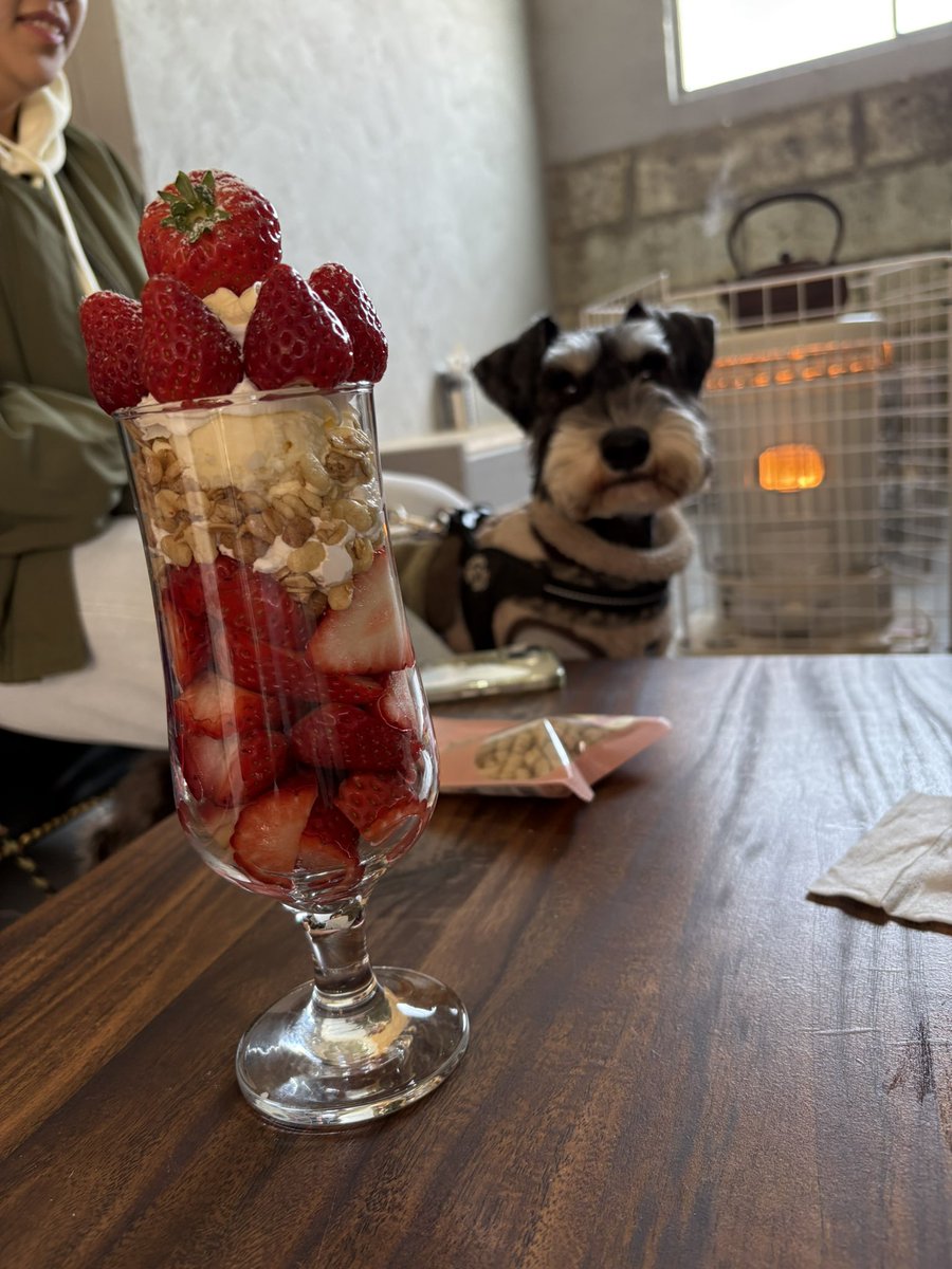 Suzu3Aya's tweet photo. いちごが食べたくて♡♡
ほとんどいちごなパフェ🍓🍓🍓🍓🍓 https://t.co/Sshyd7bzG6
