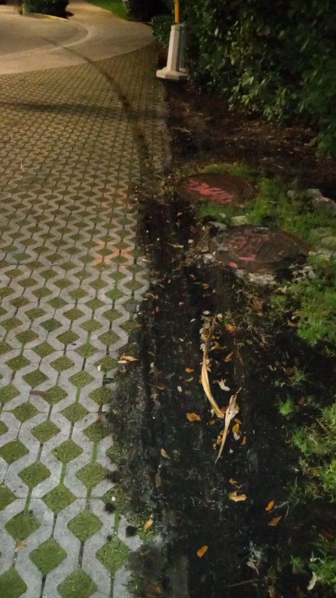 Anthon Meyin tweet media