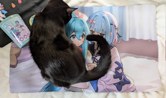 描かせてもらった雨晴はうちゃんと相良汐ちゃんのデスクマット届いた!ありがとうございます～～!