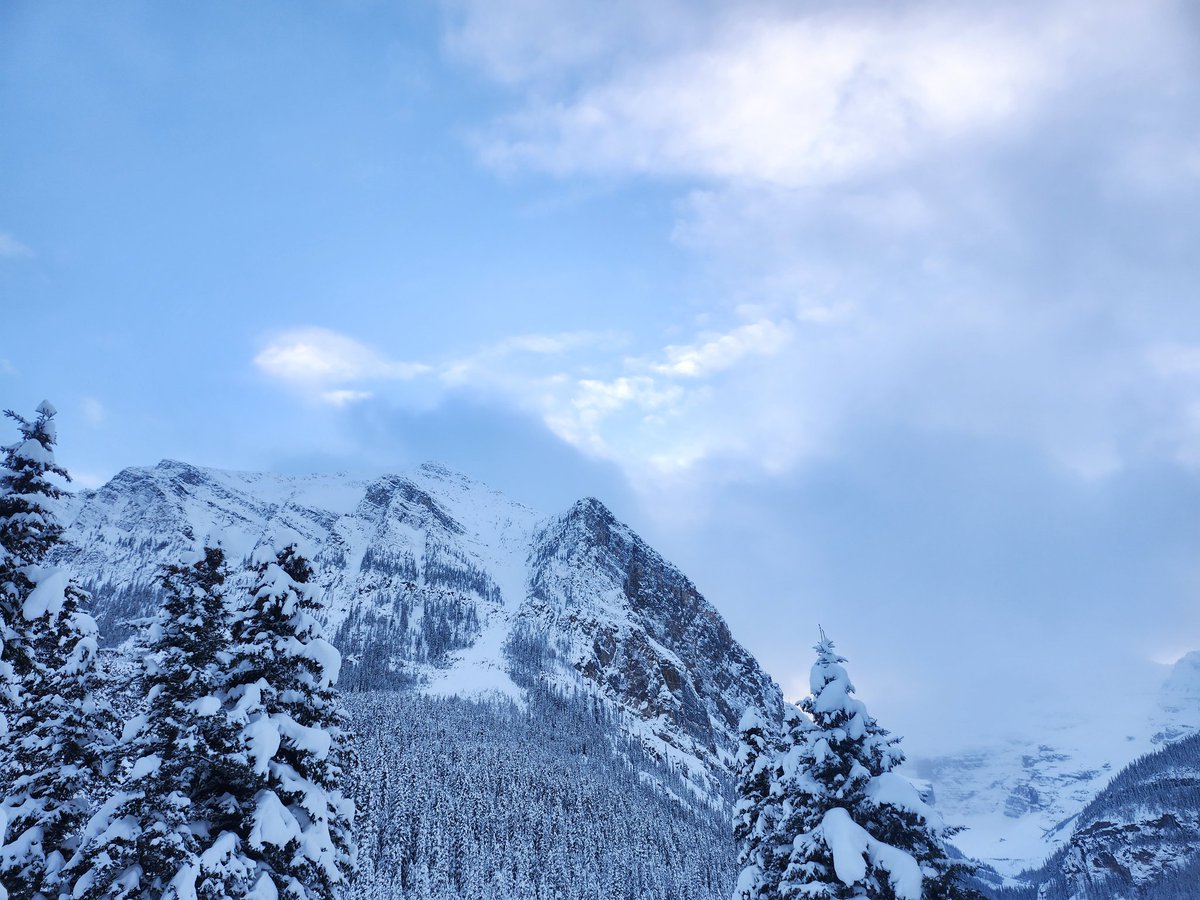 💚CHU💙 tweet media