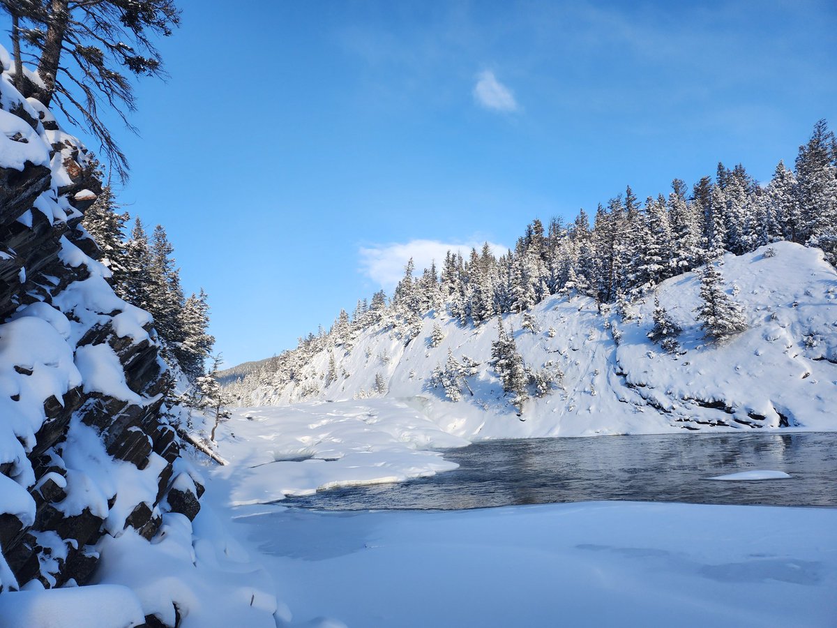 💚CHU💙 tweet media