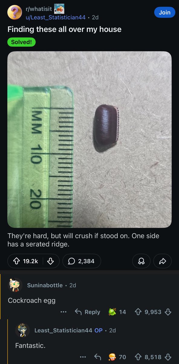 Images AI Could Never Recreate tweet media