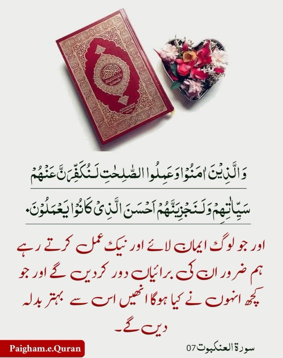 آمنہ👑 tweet media