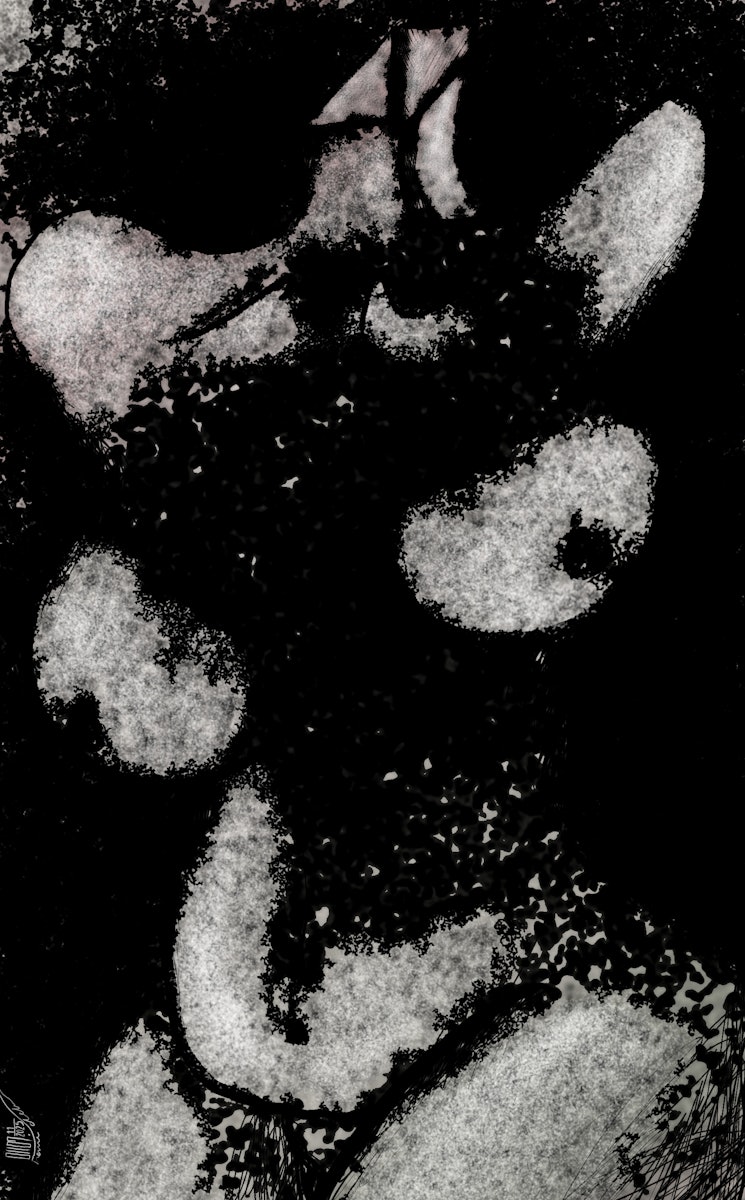 HamideH🪄 tweet media