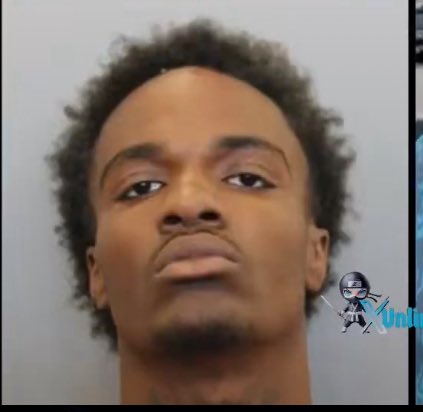 MAGATEACHER4TRUMP tweet media