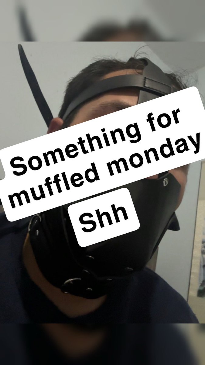 Midnight Ninja tweet media