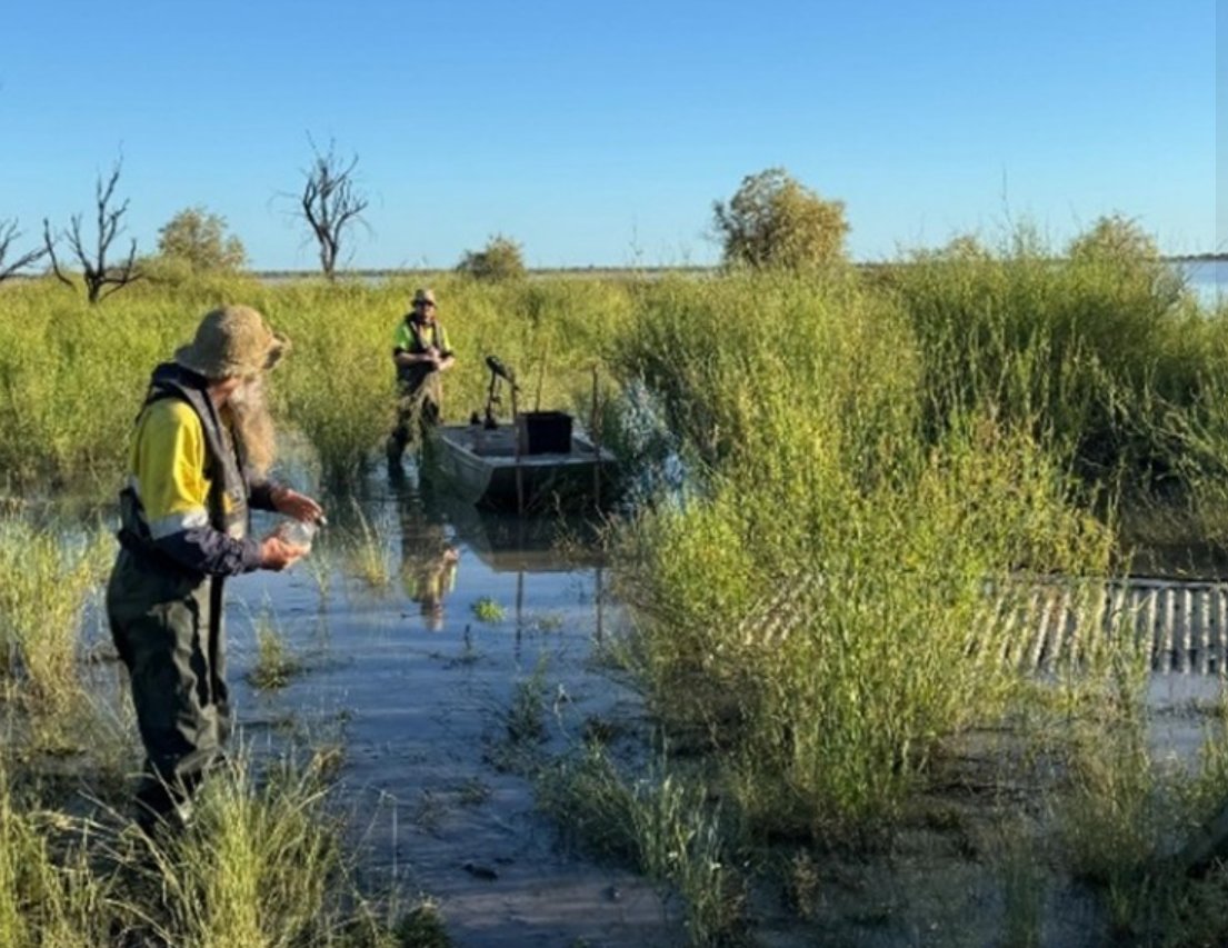 Environmental Water tweet media