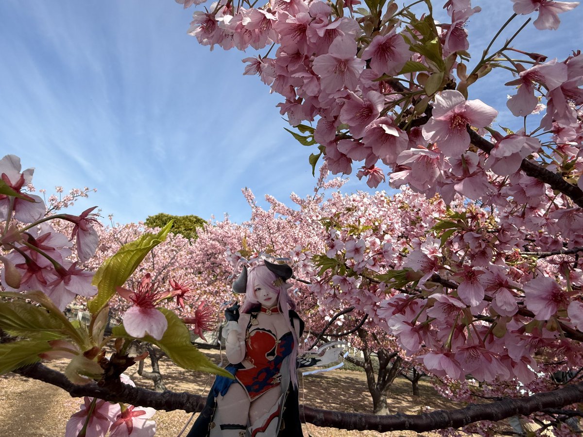 ナルメアおねぇちゃん(みぃこさん)連れて🌸見てきました✨