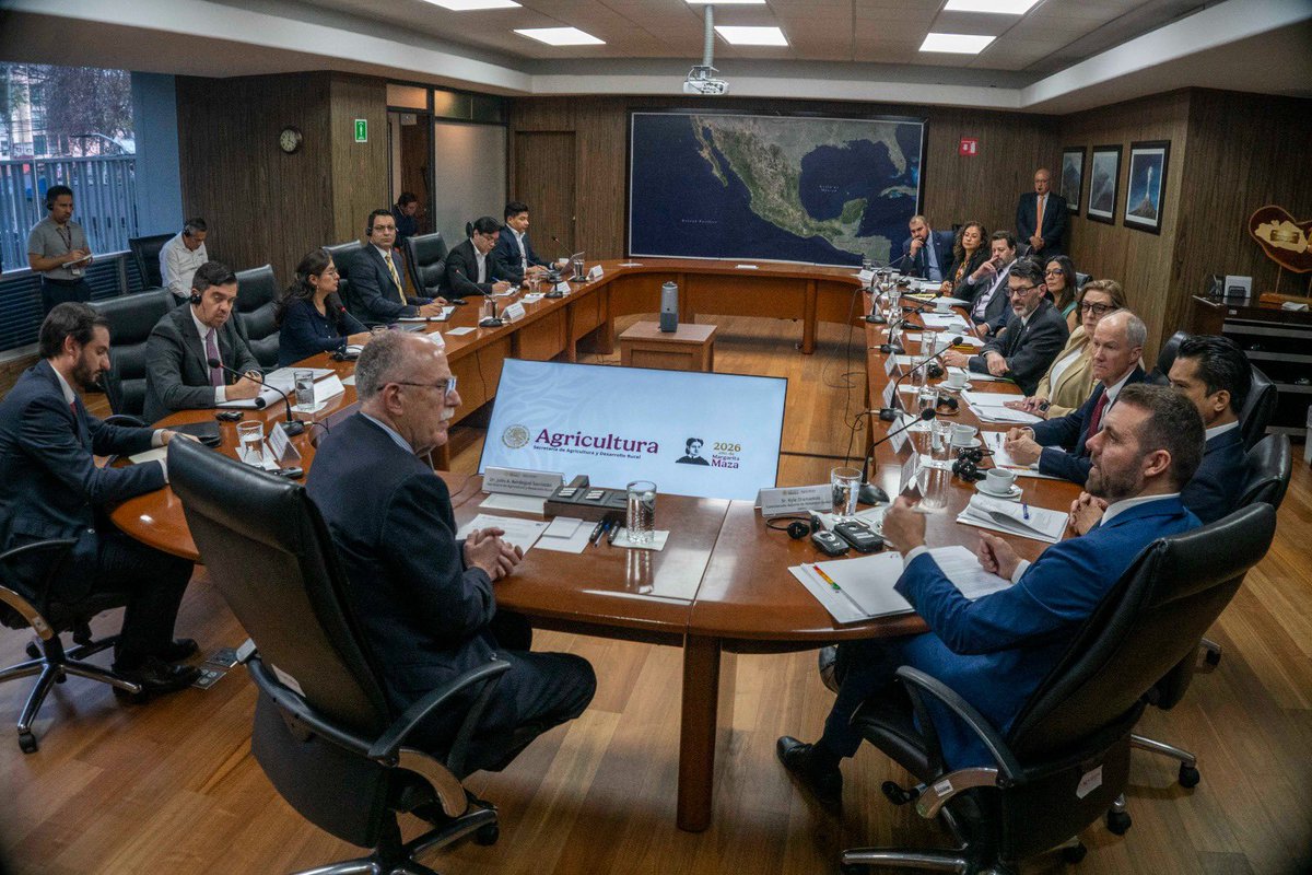 Julio Berdegué tweet media