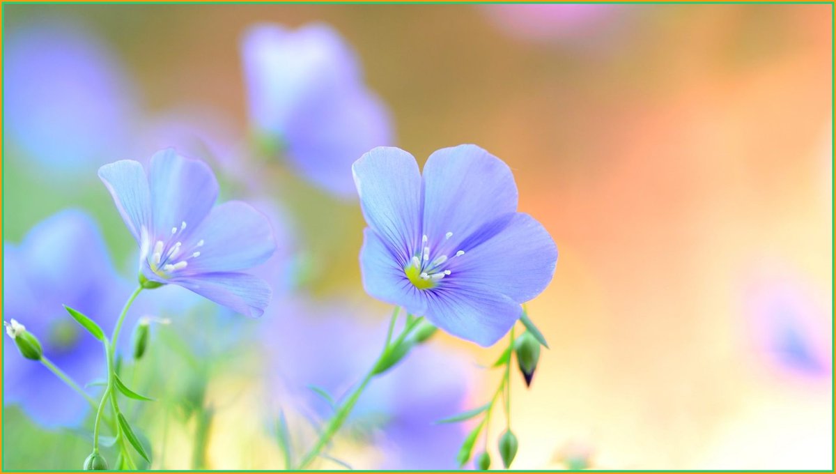 Eve dönerken rüzgar dikkatimi çekti, hayata şükrettim #igdir