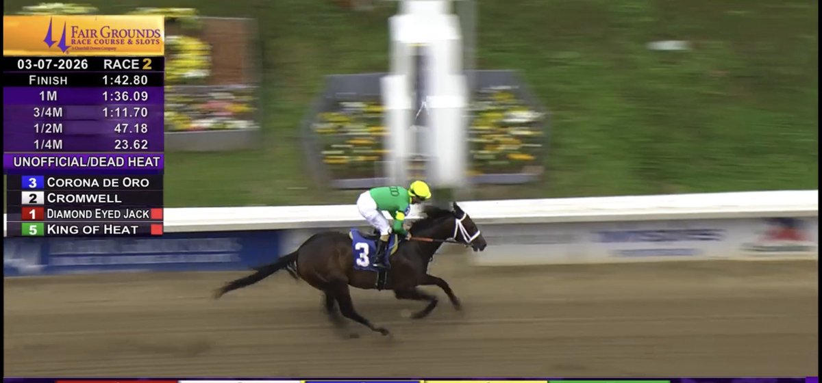 On Our Own Stable tweet media