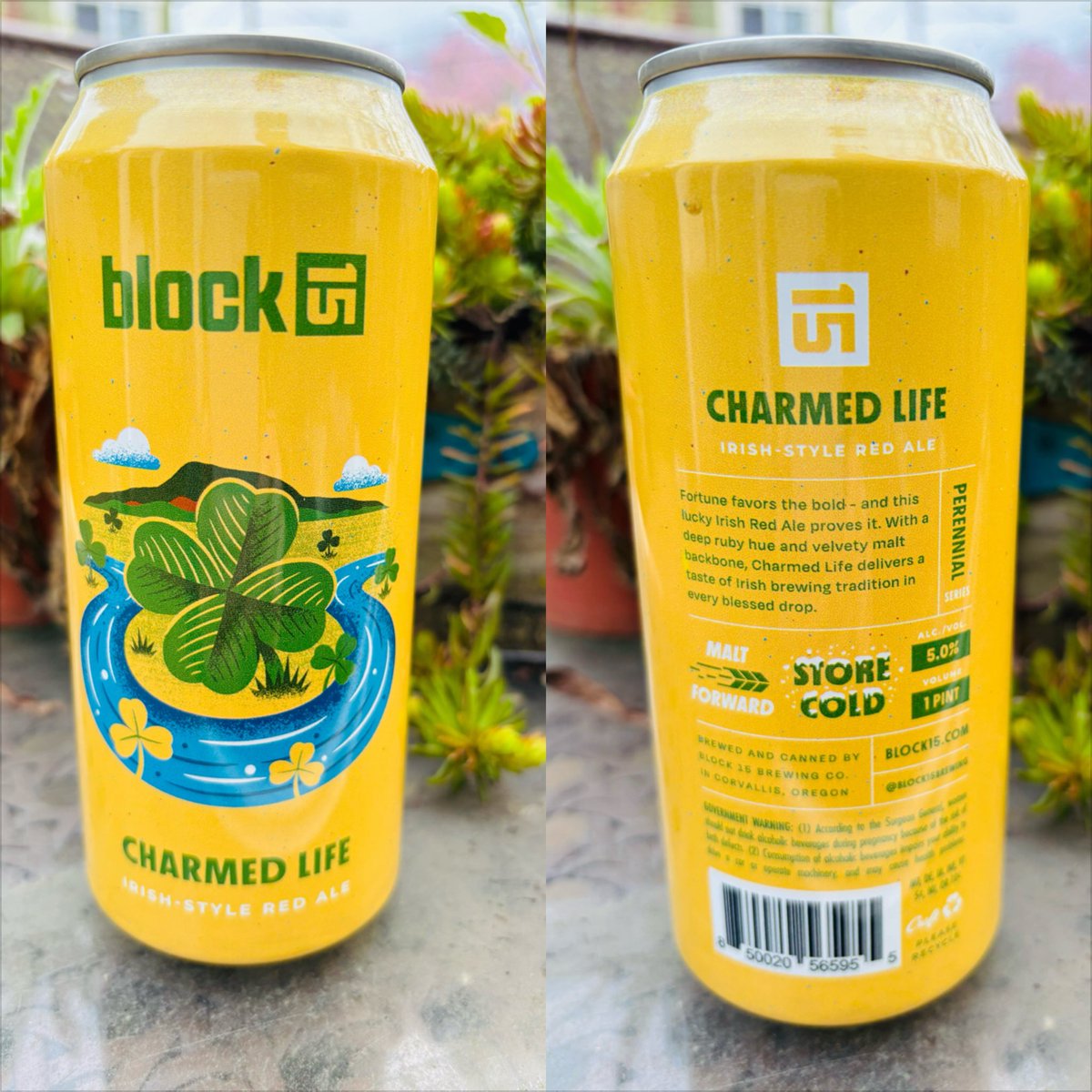 grandpaflats tweet media