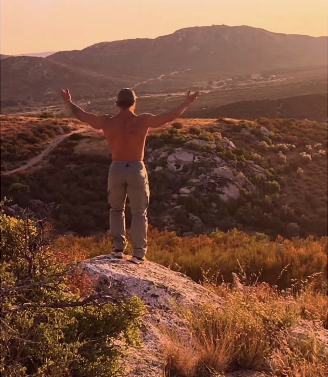 Tim Reed tweet media