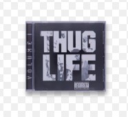 taylor davis tweet media