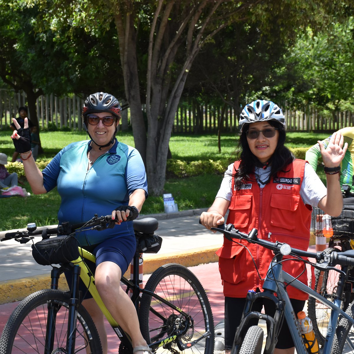 Observatorio Nacional de Seguridad Vial tweet media
