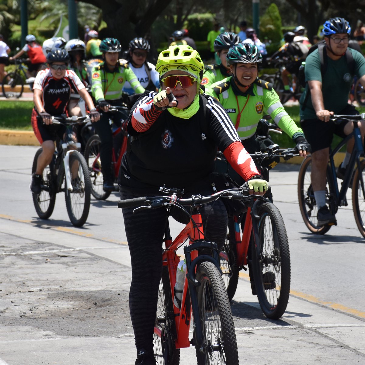 Observatorio Nacional de Seguridad Vial tweet media