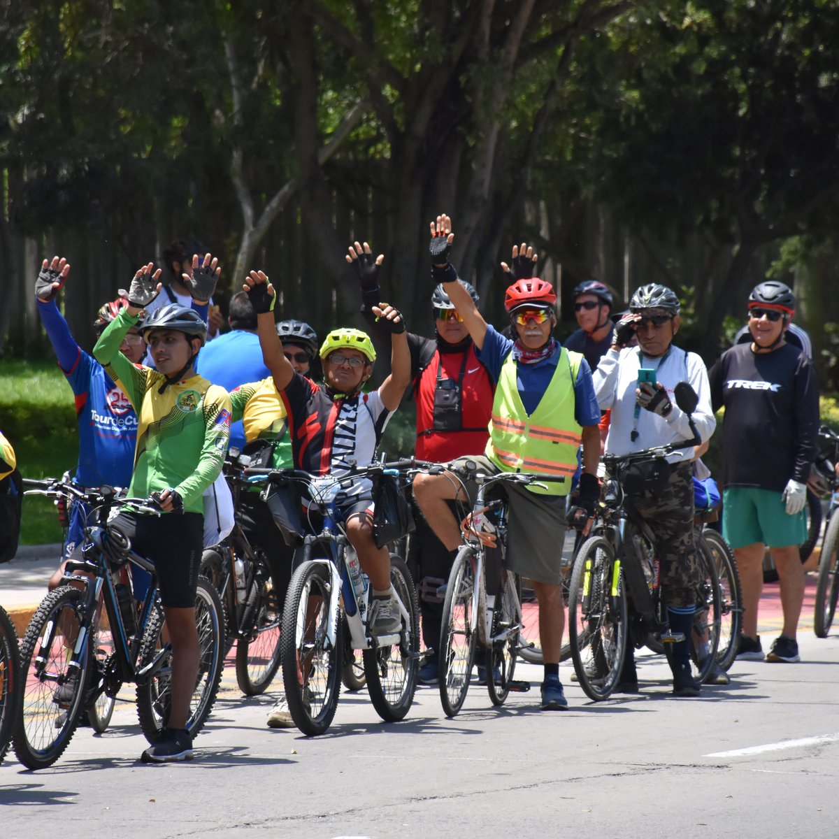 Observatorio Nacional de Seguridad Vial tweet media