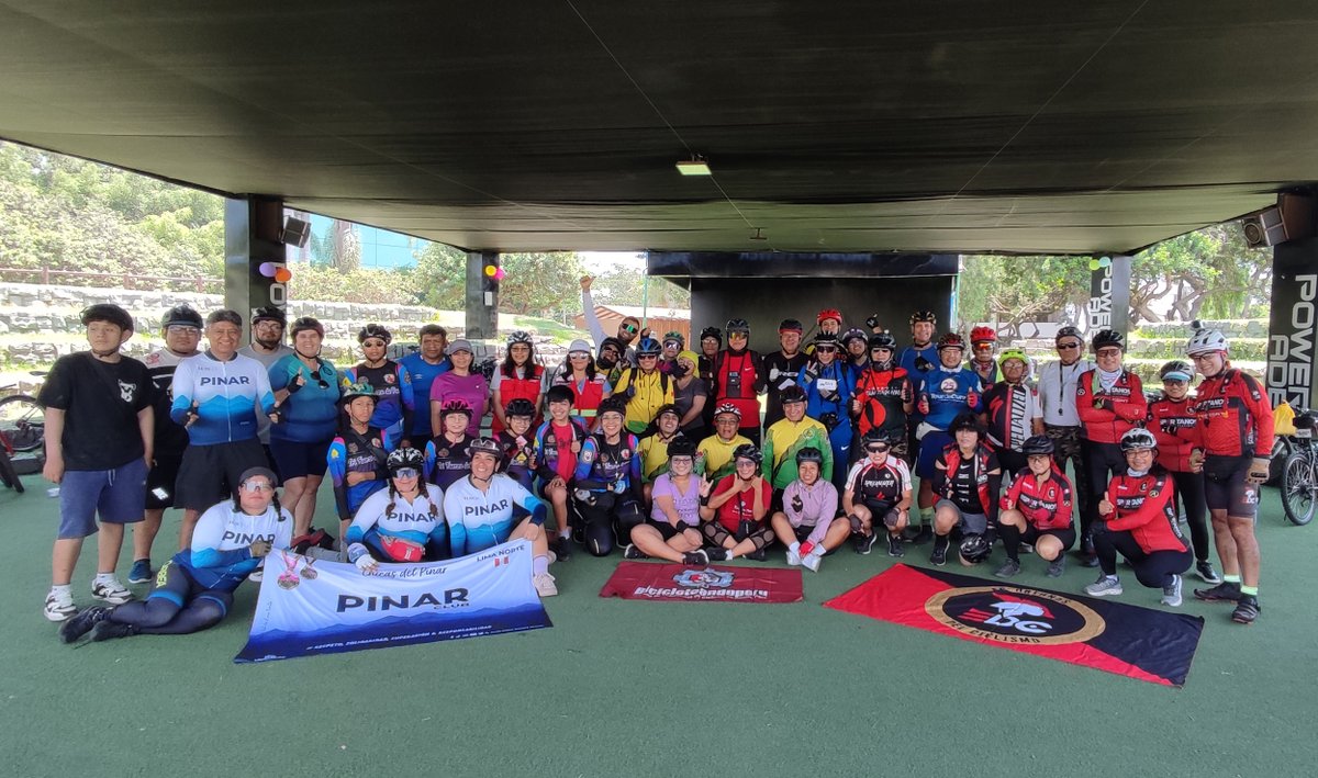 Observatorio Nacional de Seguridad Vial tweet media