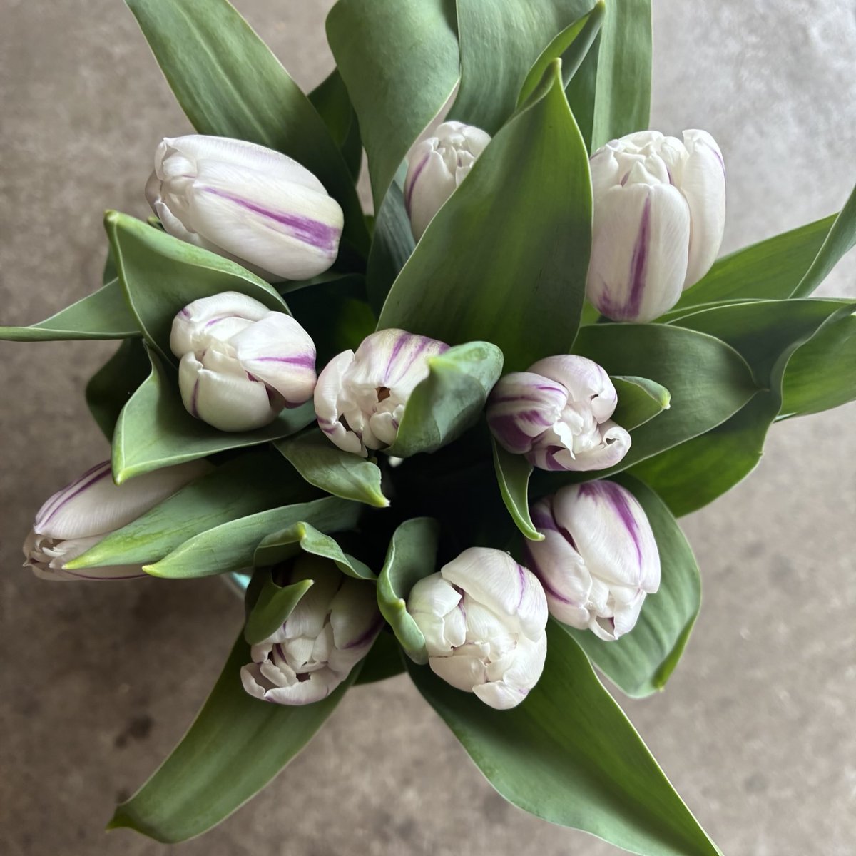 d`ici peu tweet media