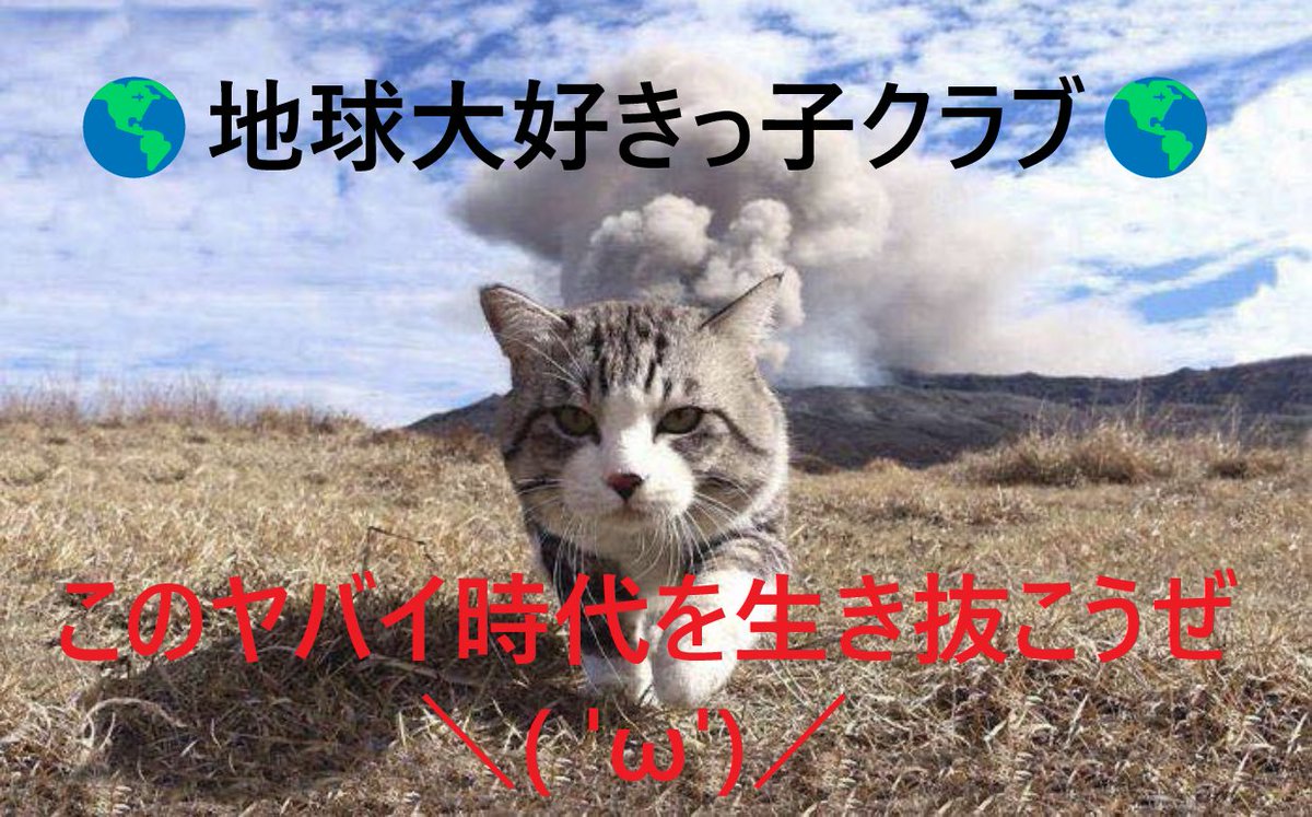 ちえFX tweet media