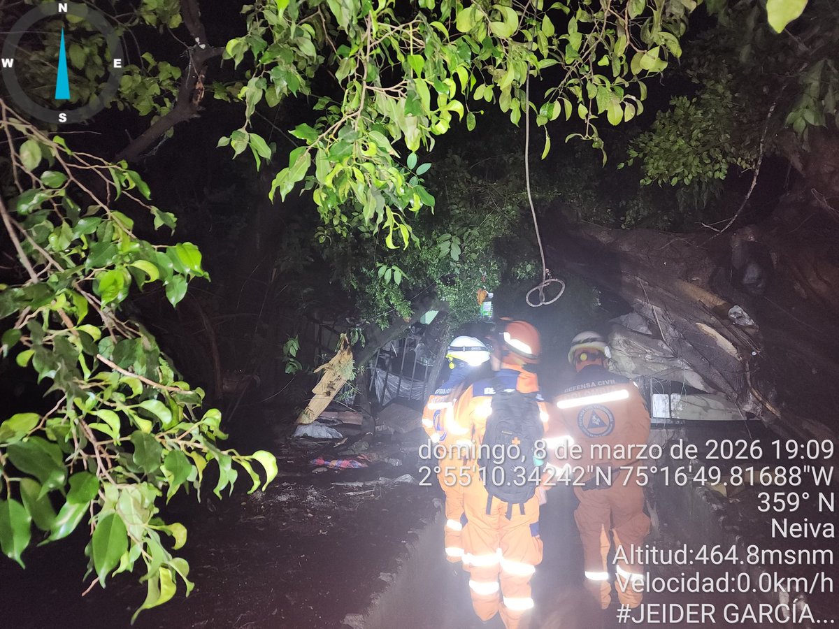 Tras las fuertes lluvias y vientos registrados en #Neiva, apoyamos labores de corte y retiro de árboles caídos que afectaban la movilidad la ciudad.
Seguimos trabajando por la seguridad de la comunidad.
<a href="/DefensaCivilCo/">DefensaCivilColombia</a>
#Huila #ListosEnPazOEmergencia