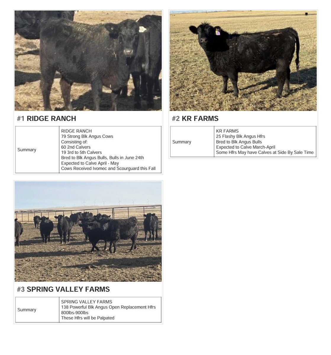 Perlich Bros Auction tweet media