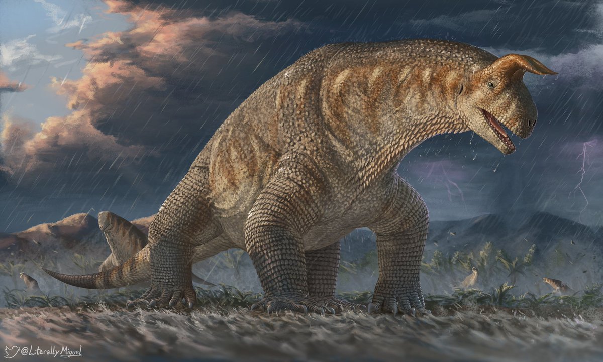 Literally Miguel 🇻🇪💥🔫 tweet media