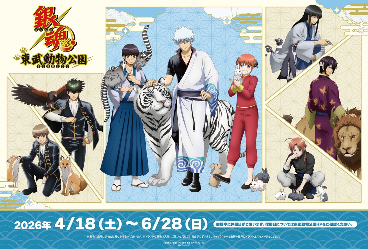 abisu_abis's tweet photo. 【イベント情報】

TVアニメ『銀魂』×東武動物公園

「動物との交流」をコンセプトにしたコラボ描き下ろしイラストグッズが登場！✨

【開催期間】2026年4月18日～6月28日

https://t.co/z0ifUMq3mM

#銀魂 #gintama https://t.co/kflOanszDt