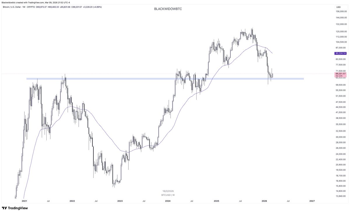 ₿lackwidow 🕷 tweet media