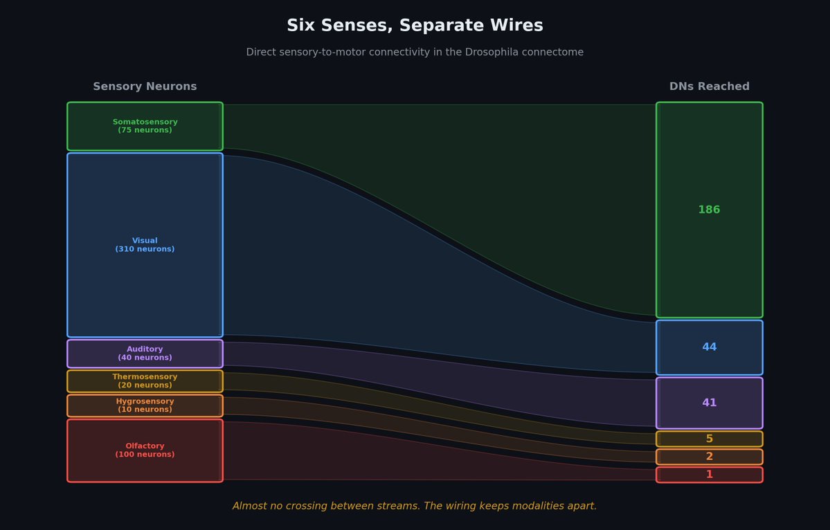 Neil Tripathi tweet media