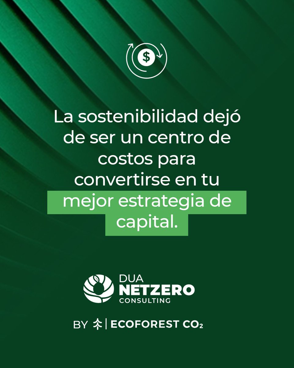 DUA NetZero Consulting tweet media