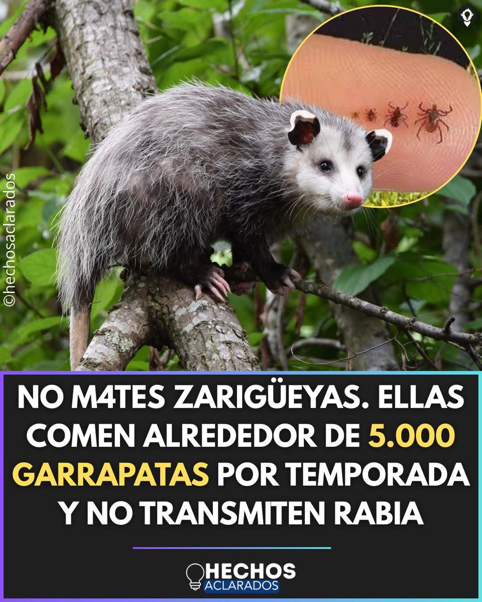 magdala (@silmagdala) on Twitter photo 