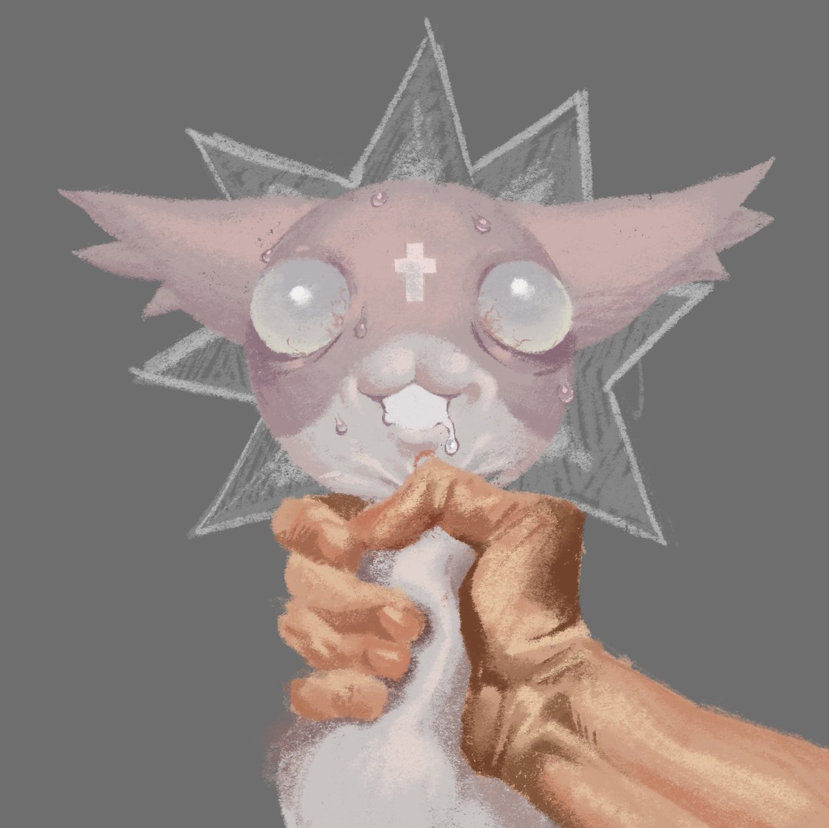 Shrimp Radio tweet media