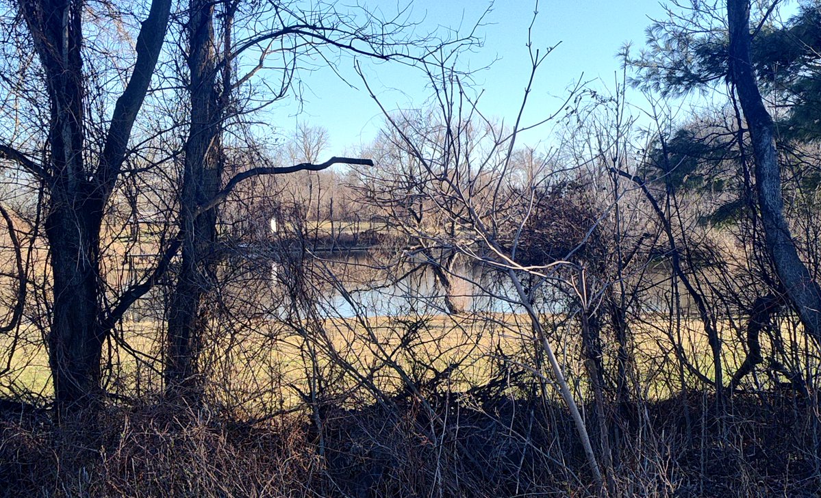 John P. Flannery tweet media