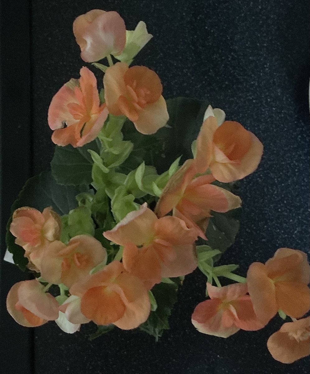 John P. Flannery tweet media