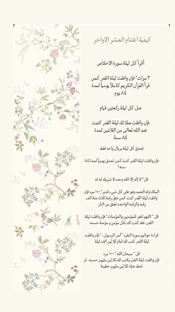 Areej tweet media
