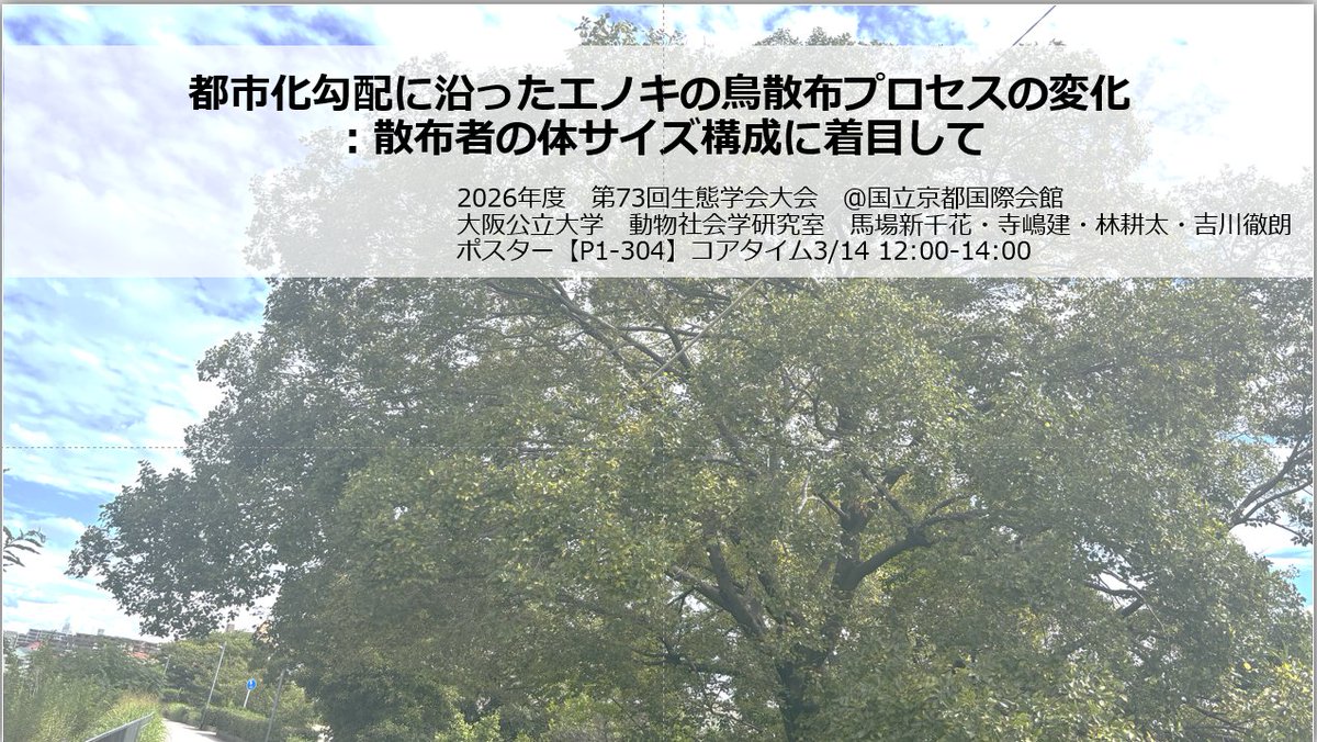 Laboratory of Animal Sociology, OMU, JPN tweet media