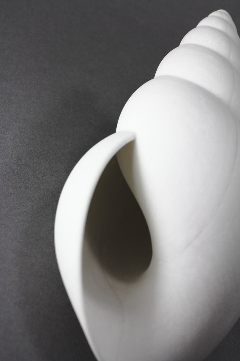 Phillip D Stearns tweet media