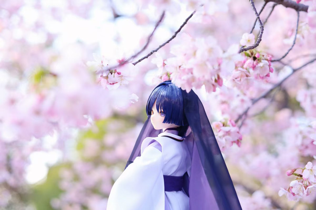 白手套小猫飼育員 tweet media