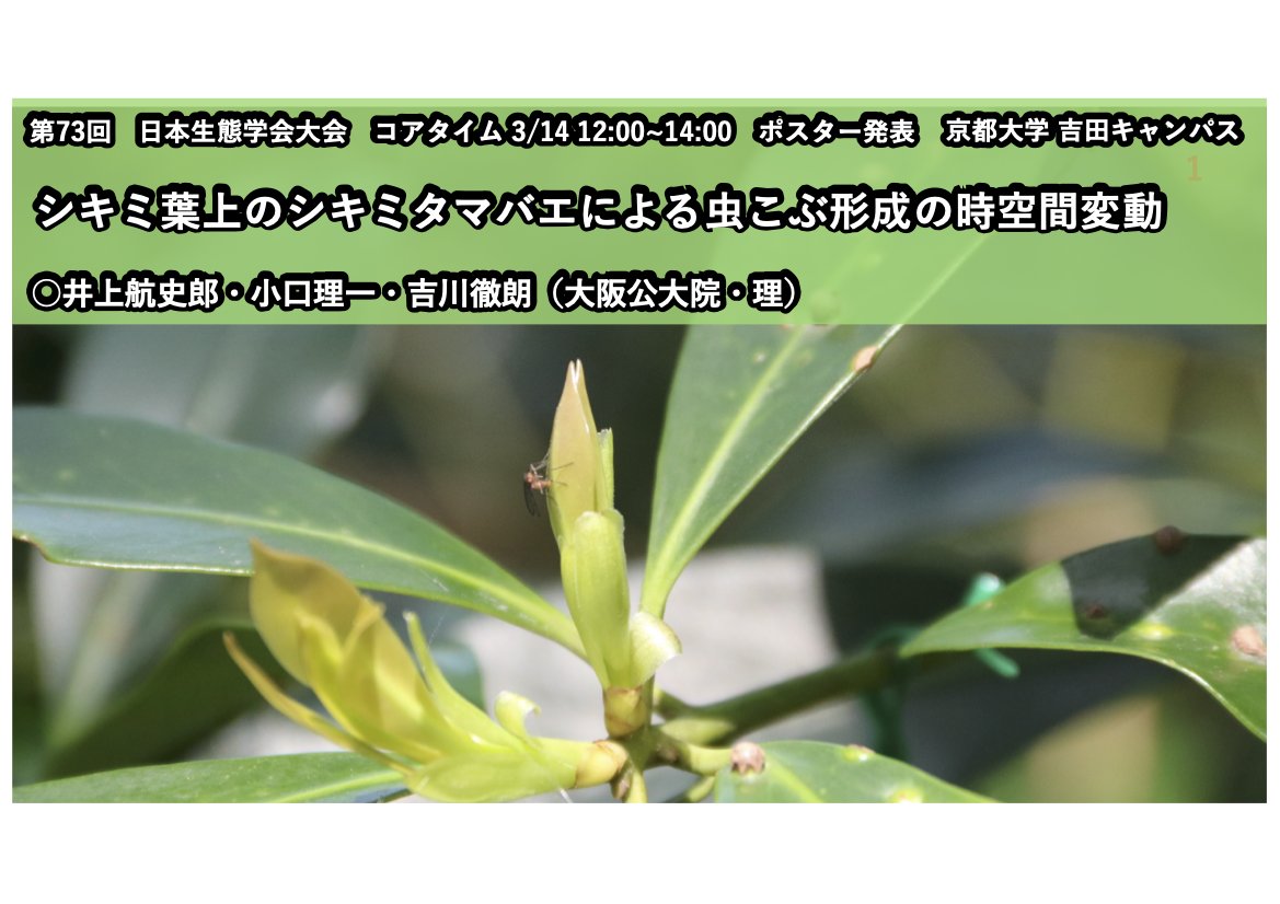 Laboratory of Animal Sociology, OMU, JPN tweet media