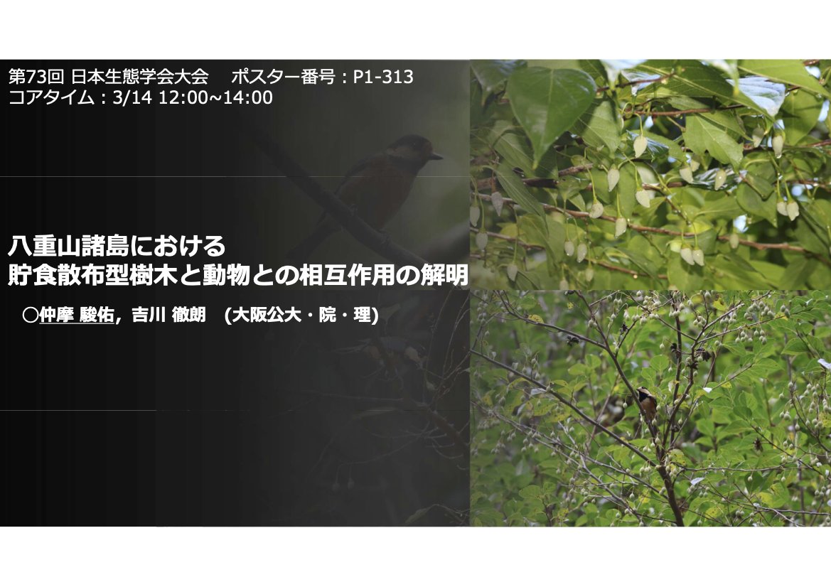 Laboratory of Animal Sociology, OMU, JPN tweet media